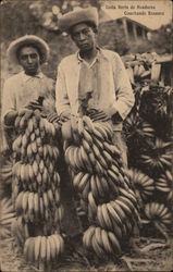 Cosechando Bananos North Coast, Honduras Central America Postcard Postcard