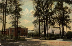 Aquarium and Horticultural Hall, Belle Isle Postcard