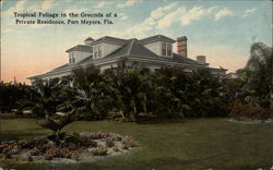 Tropical Foliage in the Grounds of a Private Residence Fort Myers, FL Postcard Postcard