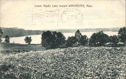 Lower Mystic Lake Winchester, MA Postcard Postcard