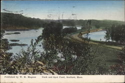 Duck and Spot Pond Postcard