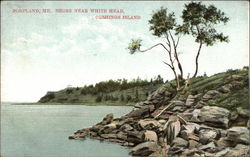 Shore Near White Head, Cushings Island Postcard