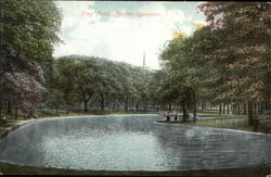 Frog Pond, Boston Common Postcard