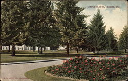 Campus, University of Oregon Eugene, OR Postcard Postcard