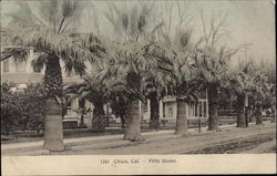 Fifth Street Chico, CA Postcard Postcard