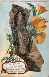 California "The Land of Sunchine, Fruit and Flowers Postcard