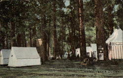 Camp Curry Postcard