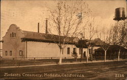 Modesto Creamery California Postcard Postcard