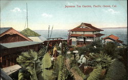 Japanese Tea Garden Pacific Grove, CA Postcard Postcard