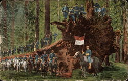 Stock #285894 Thumbnail