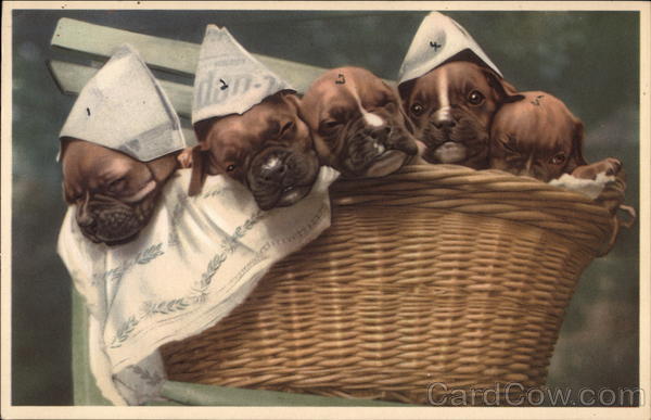 Puppies in a Basket Dogs