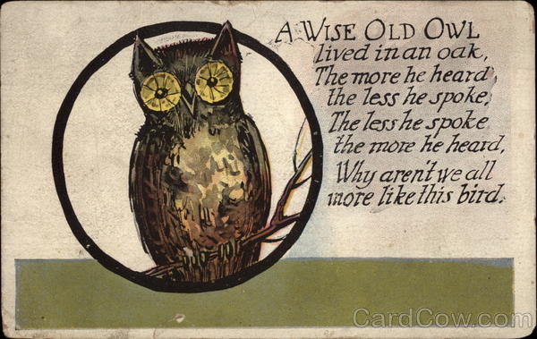 Owl with big eyes sitting on a branch Birds