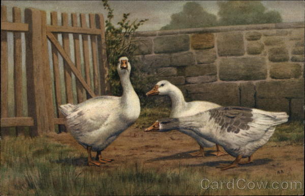 Three Geese by the Garden Gate Birds