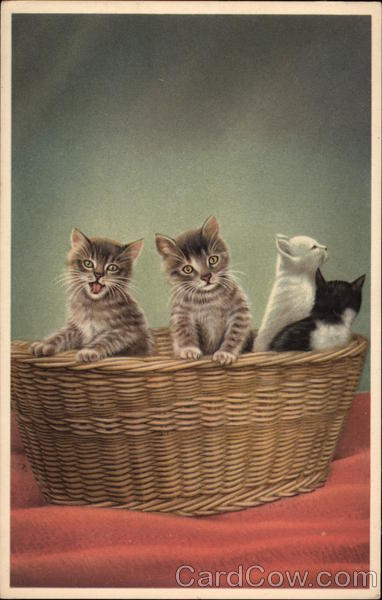 Four kittens in a basket Cats