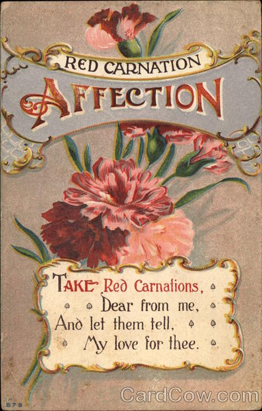 Red Carnation; Affection Romance & Love