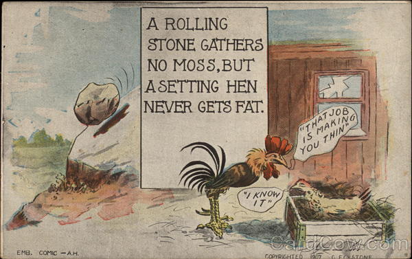 Rooster Talking to Chicken Comic, Funny