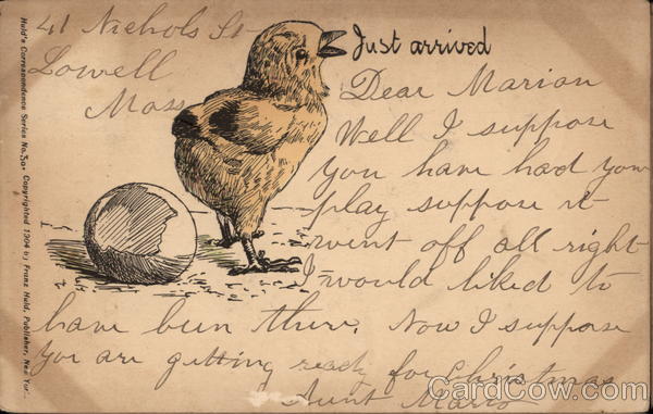Baby chick next to a broken eggshell Birds