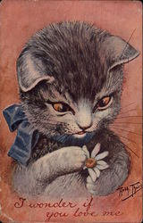 Cat with a blue ribbon around his neck looking at a daisy Postcard