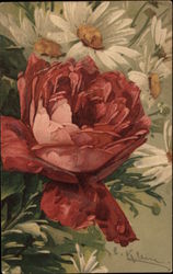 Pink Peony and White Daisies Postcard