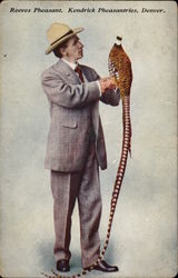 Reeves Pheasant, Kendrick Pheasantries, Denver Postcard
