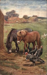 Good Friends - Horses & Turkeys Tuck's Oilette Series Postcard Postcard
