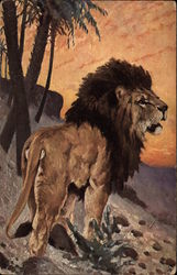 Painting of a Lion Postcard