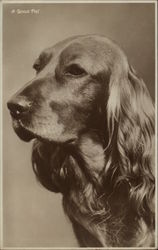 Stock #286026 Thumbnail