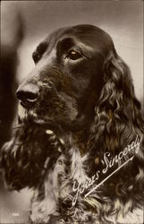 Stock #286028 Thumbnail