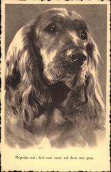 Stock #286029 Thumbnail