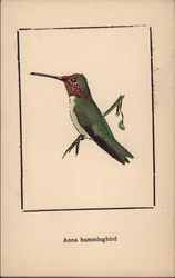 Anna Hummingbird Postcard