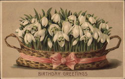 Birthday Greetings - Basket of Snowdrops Postcard