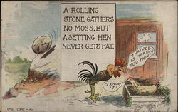 Rooster Talking to Chicken Postcard