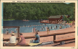 Beach, Lake and Mountains, Vogel State Park Postcard