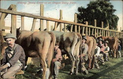 A row of men milking cows by a fence A row of men milking cows by a fence