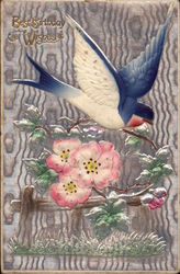 Birthday Wishes - Swallow and Apple Blossom Postcard