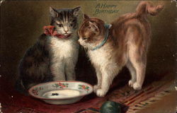 Two Cats Wishing a Happy Birthday Postcard Postcard