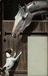 Horse in a stable looking at a dog Postcard