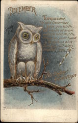 December Birthday Greetings Postcard