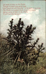 Stock #286259 Thumbnail