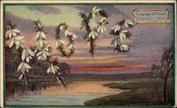 Language of Flowers - Snowdrop - Hope Postcard