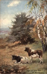 The old yew lies on the common Cows & Cattle Postcard Postcard