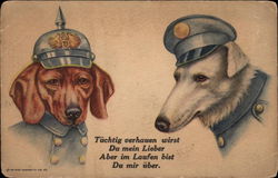 Stock #286329 Thumbnail