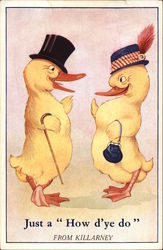 Two Yellow Ducks in Hats Postcard Postcard