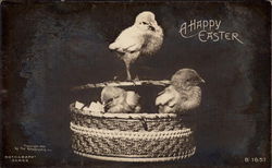 A Happy Easter With Chicks Postcard Postcard