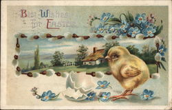Best Wishes for Easter Postcard