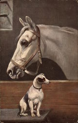 Dog Sits on Bench Next to Horse in Stall Postcard