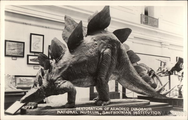 Restoration of Armored Dinosaur, National Museum, Smithsonian Washington District of Columbia