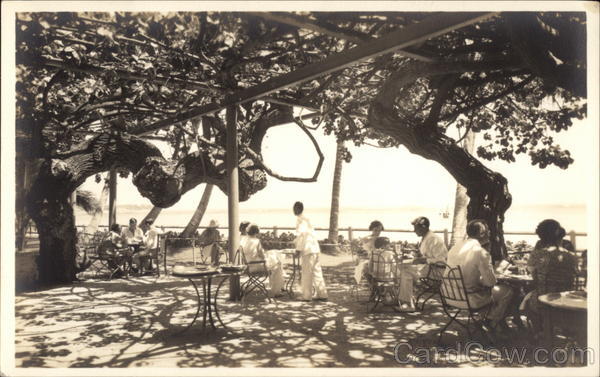 Dining on the Lanai Halekulani Hotel Honolulu Hawaii
