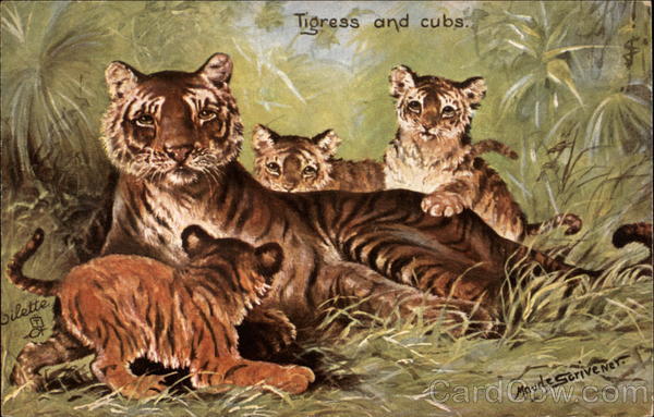 Tigress and Cubs