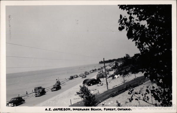 A. E. Jamieson, Ipperwash Beach Forest Canada Ontario